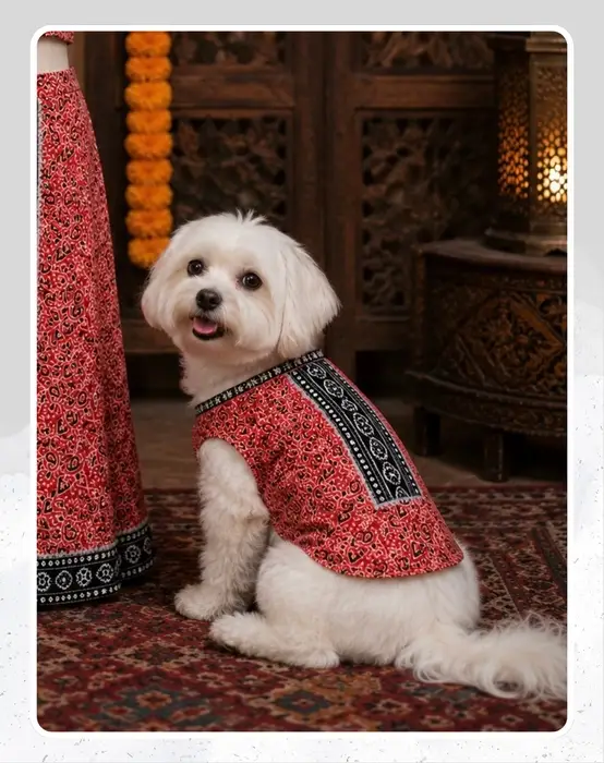 Red Cotton Ethnic Kurta