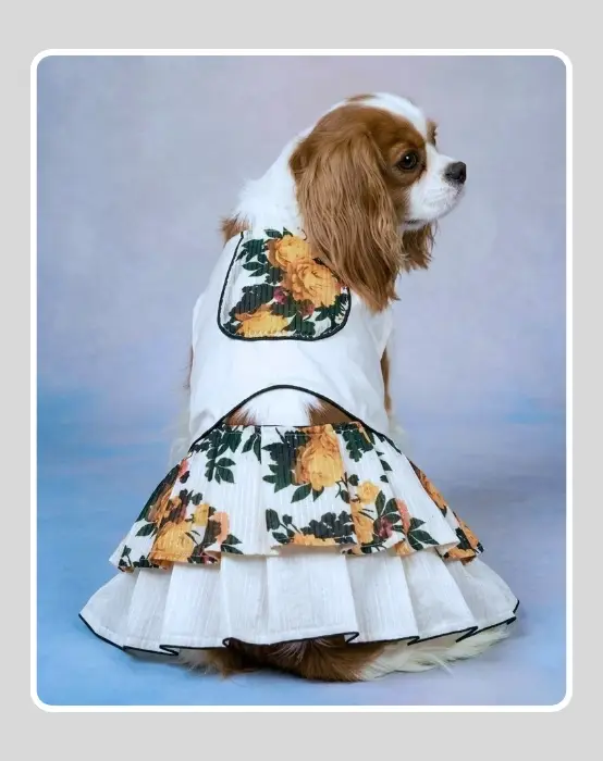 White Lehenga For Dog & Cat
