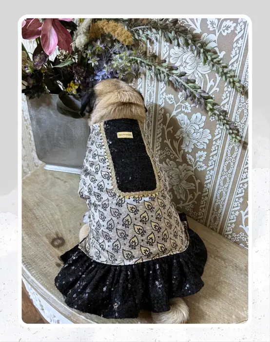 Grey and black Lehenga for Dogs & Cats