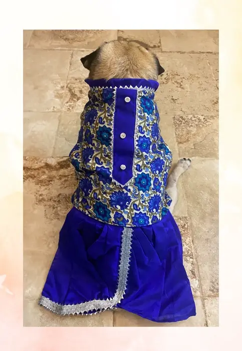 Dhoti Kurta for Dogs & Cats