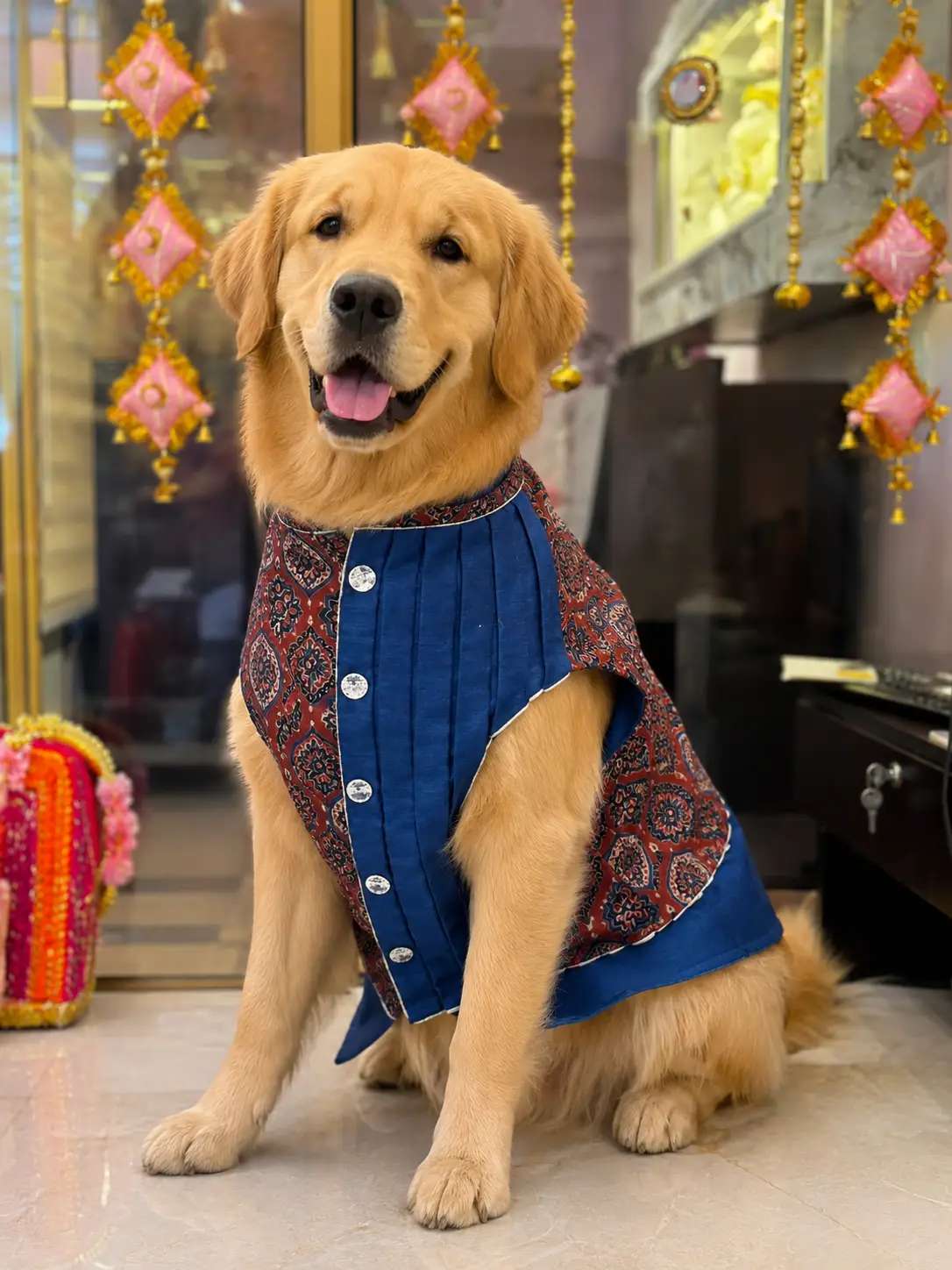 Blue Ajrak Print Dog & Cat Shervani