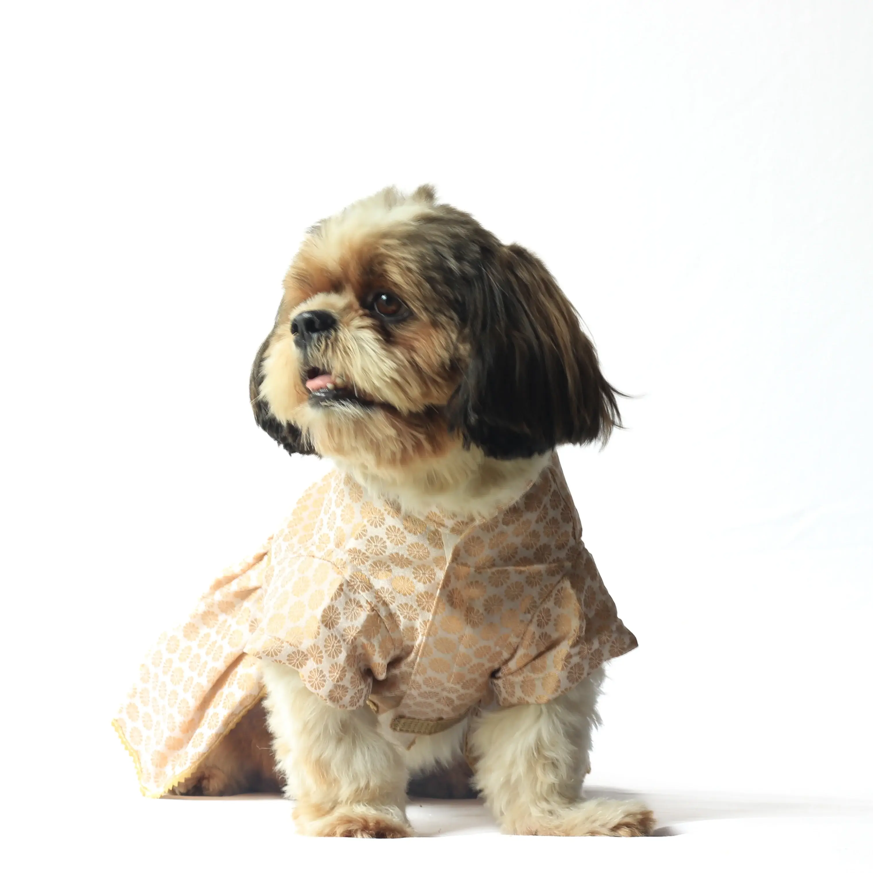 White Occasion Wear Dress For Dogs