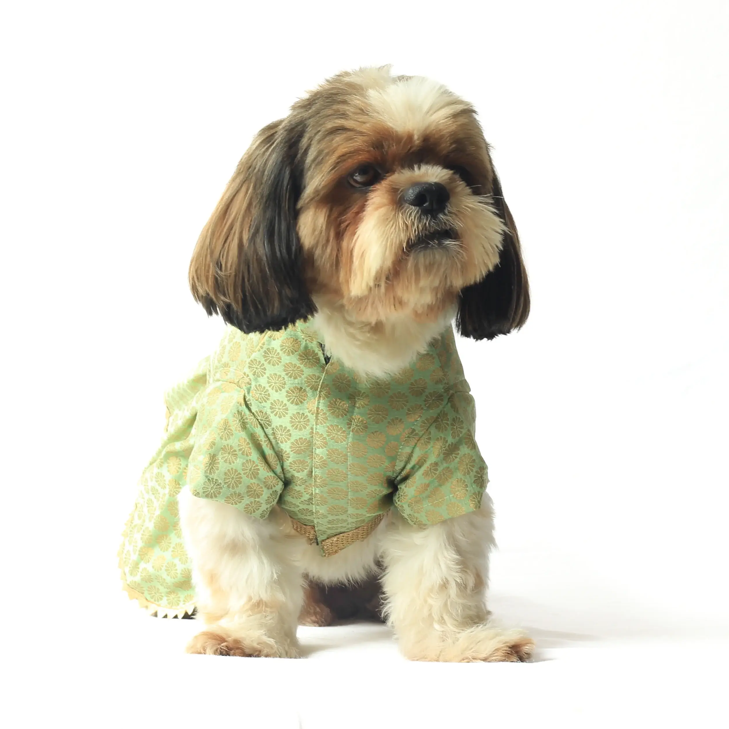 Pista Green Occasion Wear Dress For Dogs