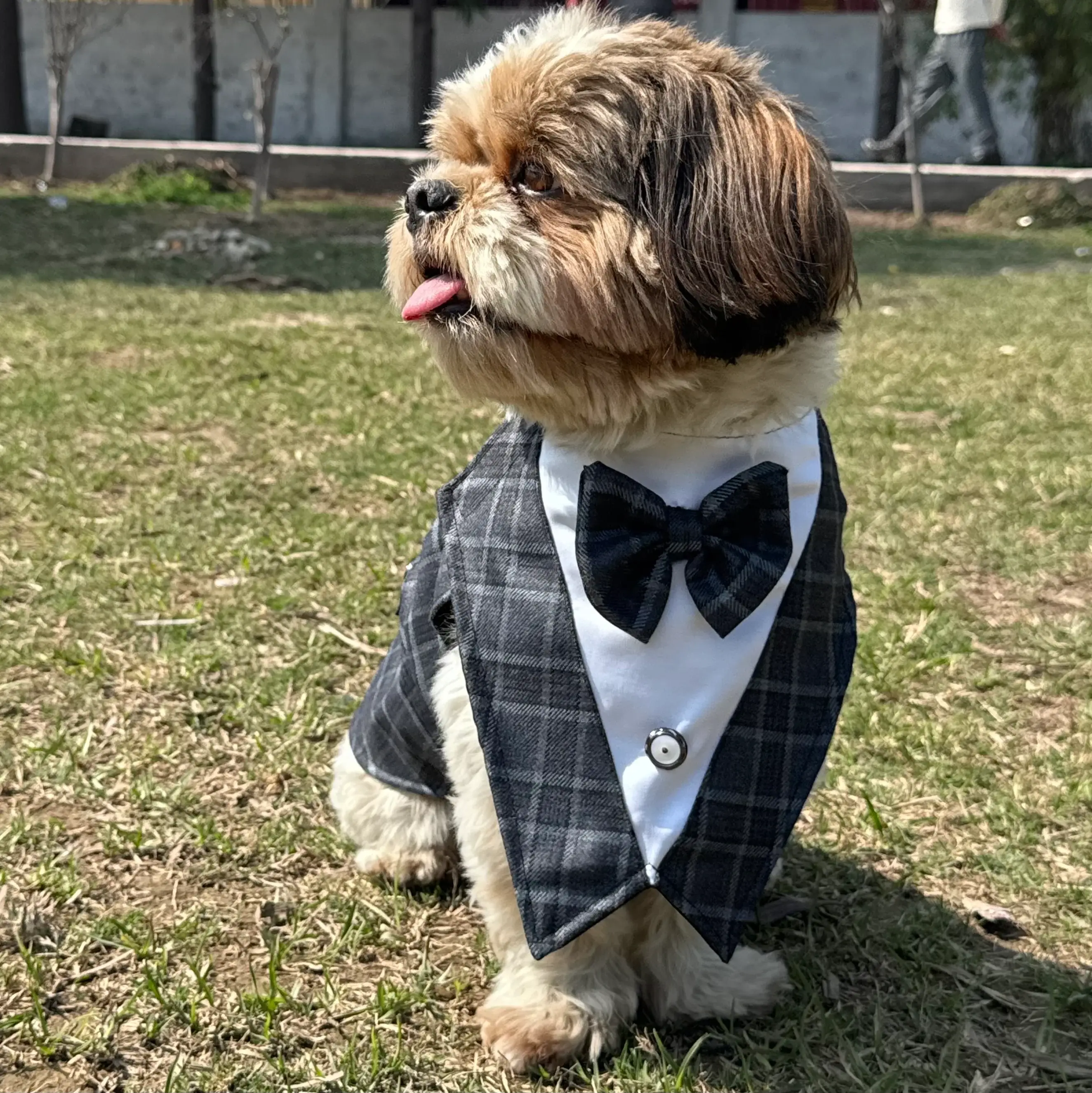 Grey Check Bowtie Tuxedo
