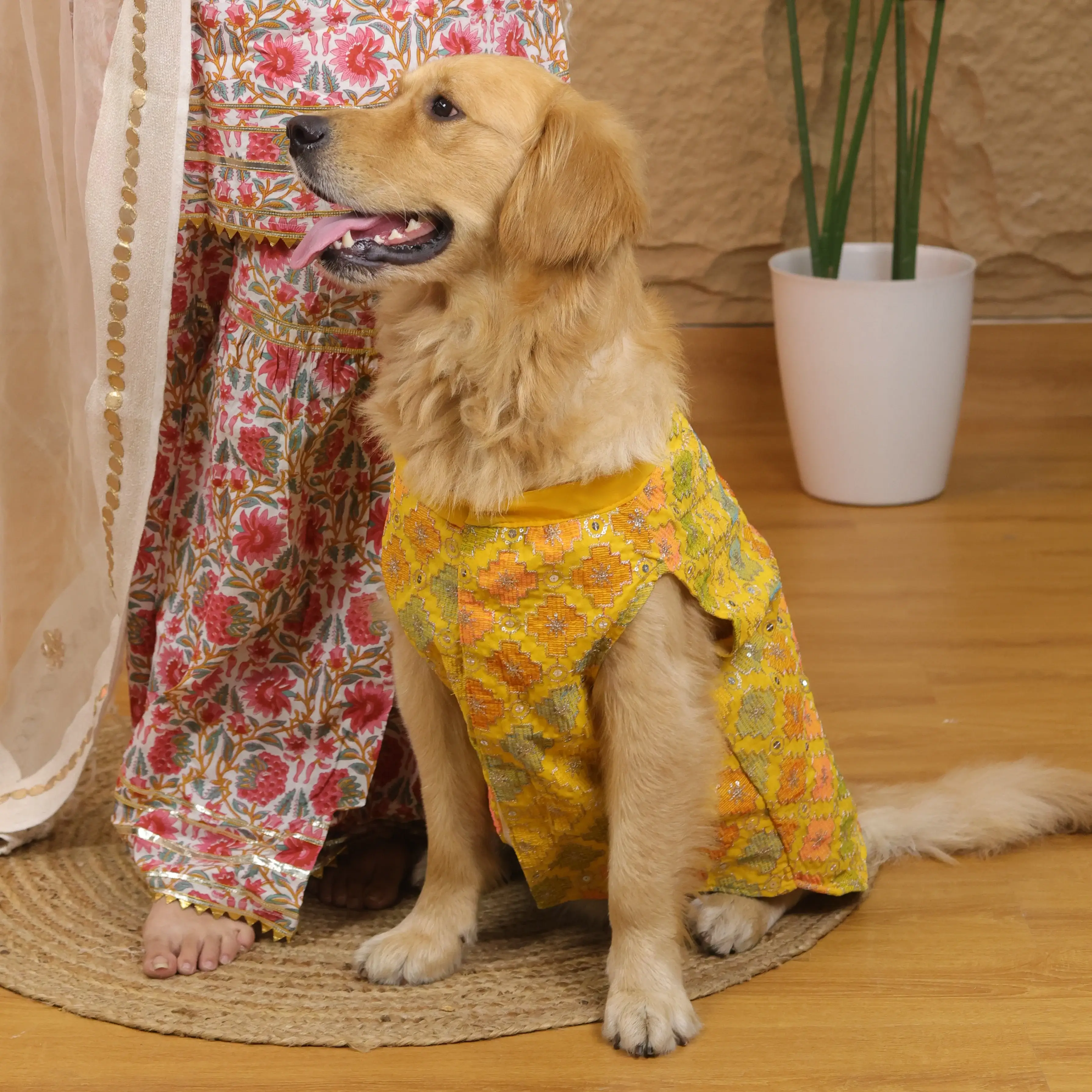 Yellow Patola Festive Kurta | For Dogs