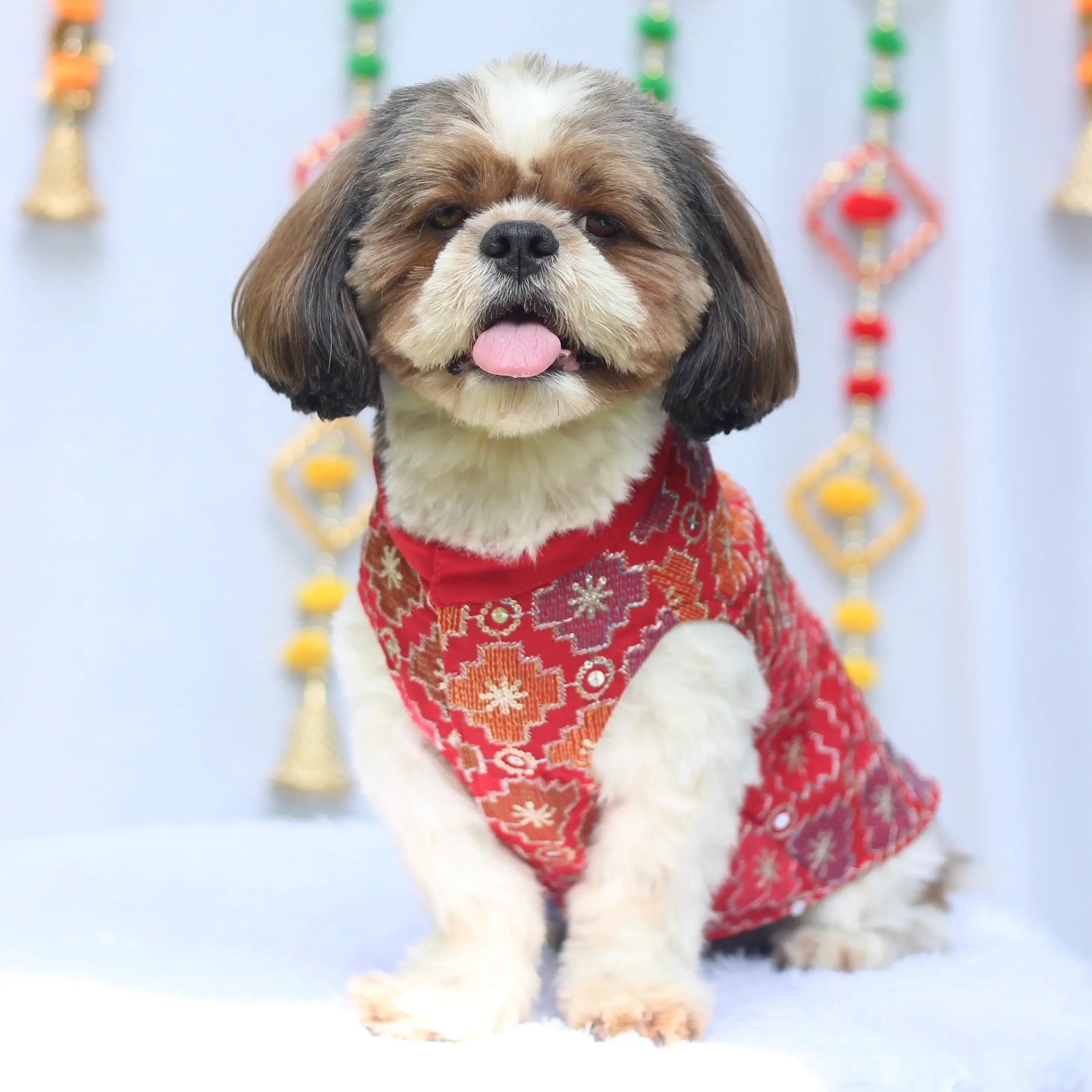 Red Patola Festive Kurta | For Dogs