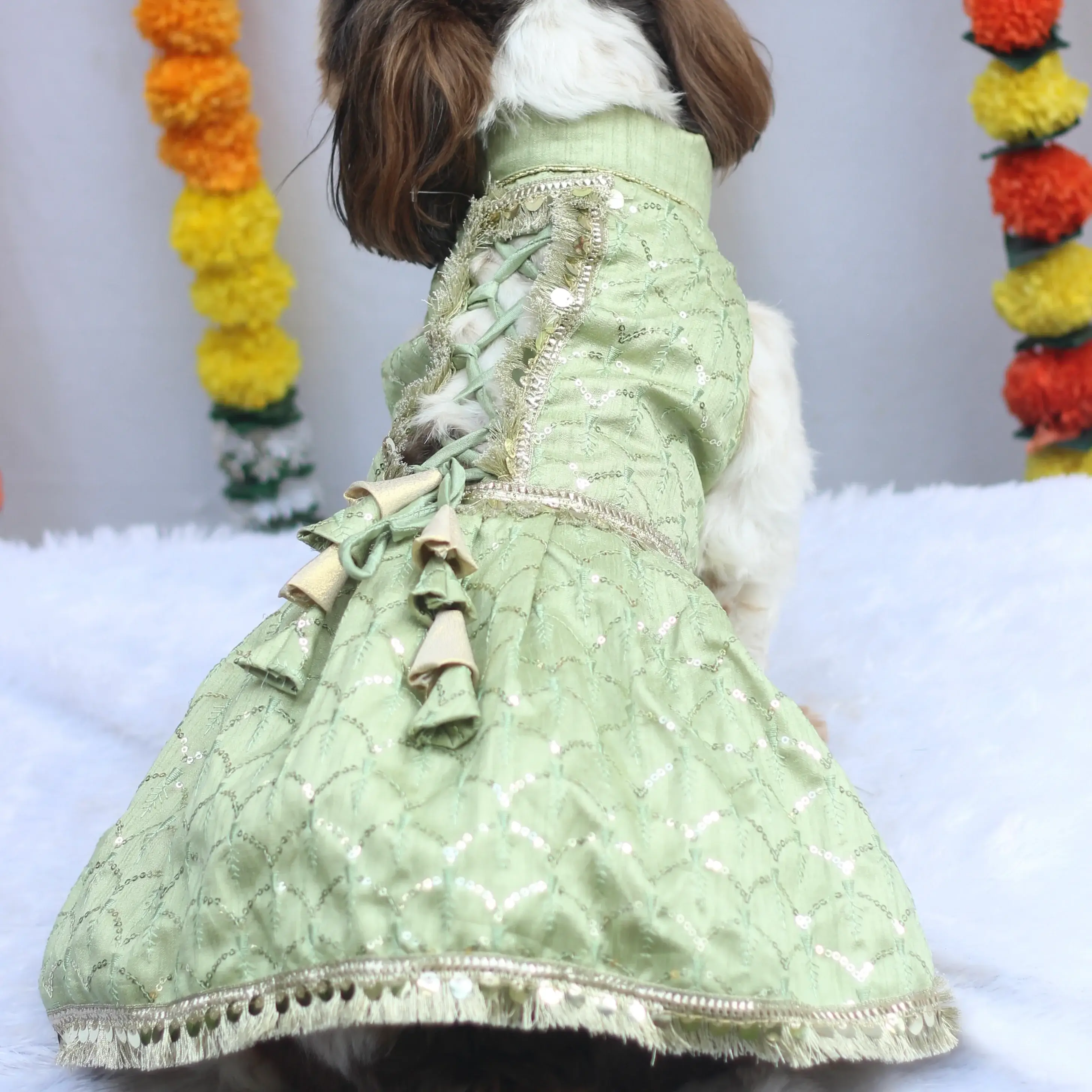Pastel Green Shahi Lehenga Dress | For Dogs
