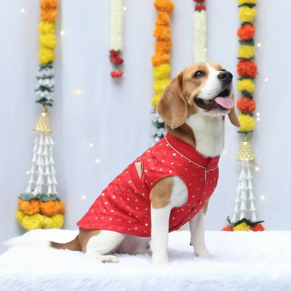 Red Shahi Kurta | For Dogs