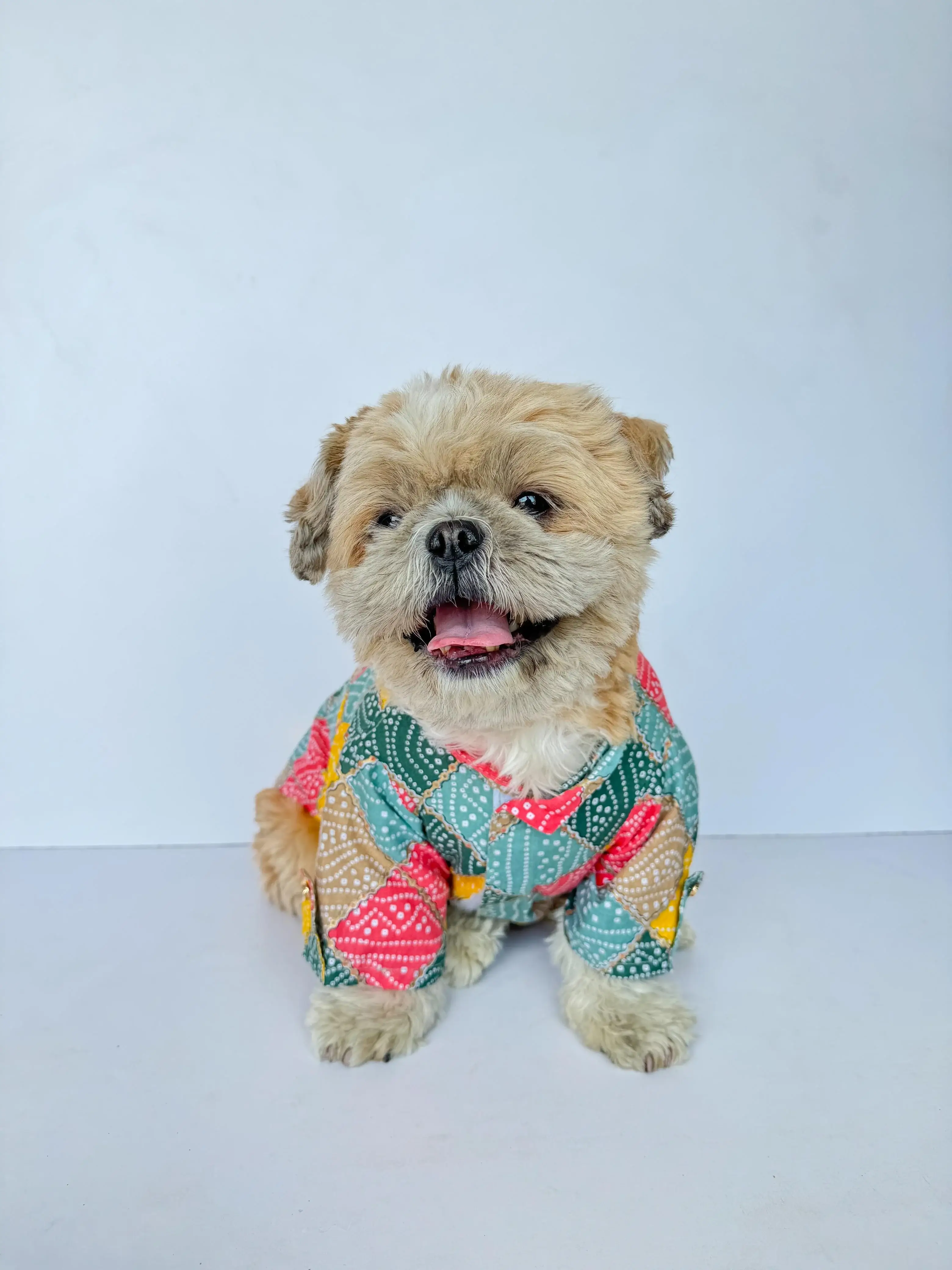 Multi Bandani Kurta | For Dogs