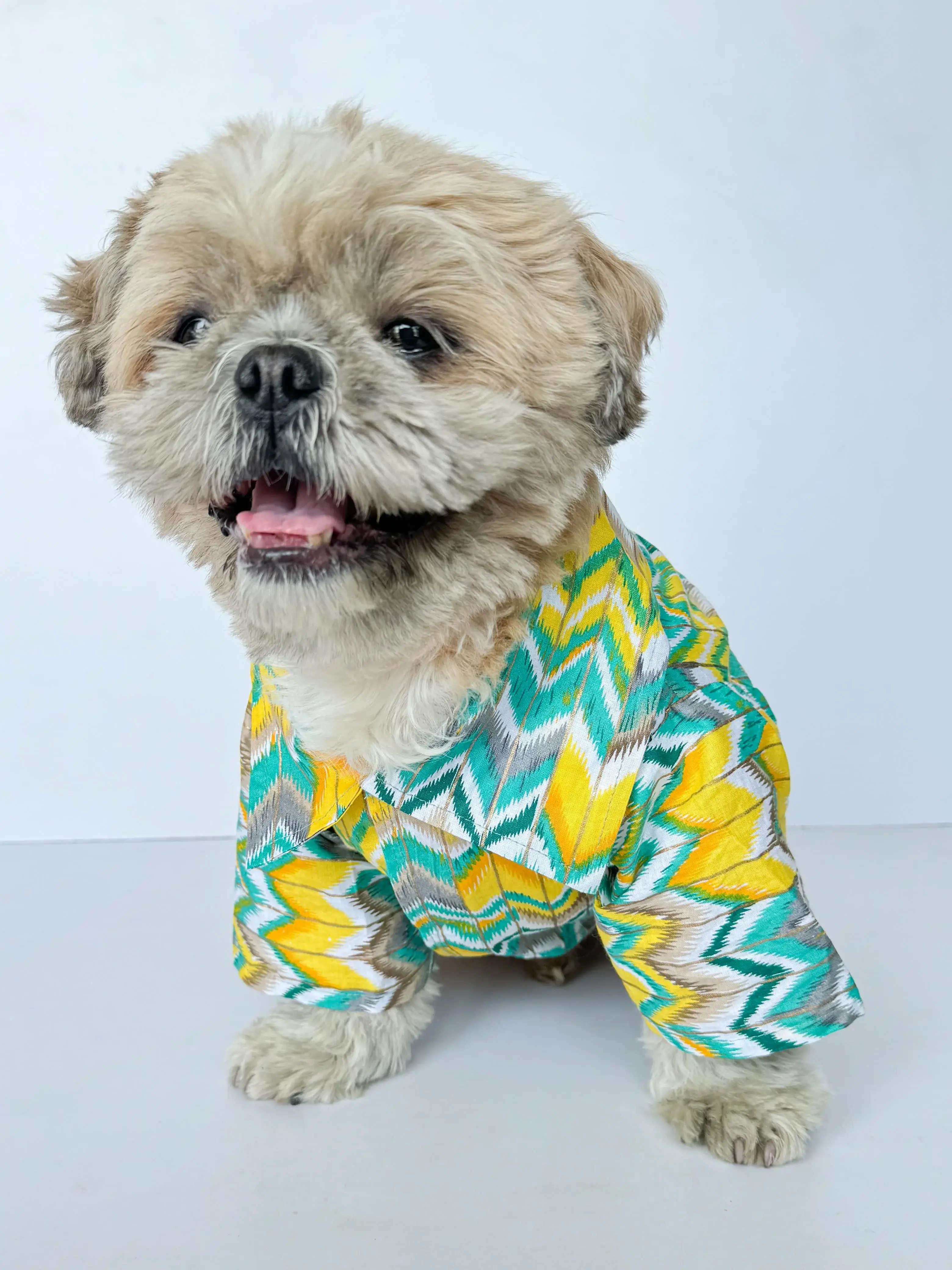 Green Zig-Zag Kurta | For Dogs