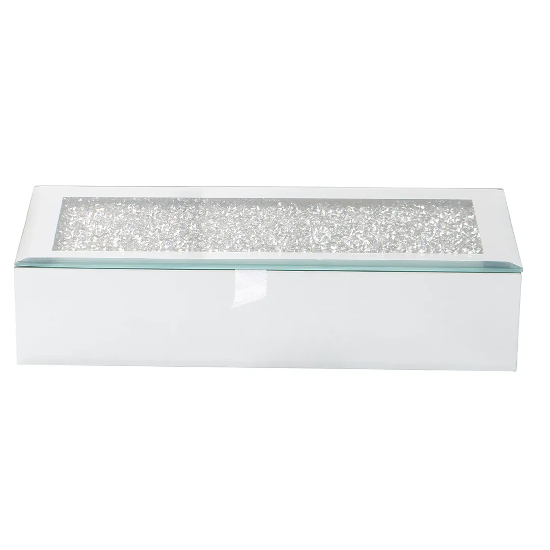 Premium Silver Cash Box